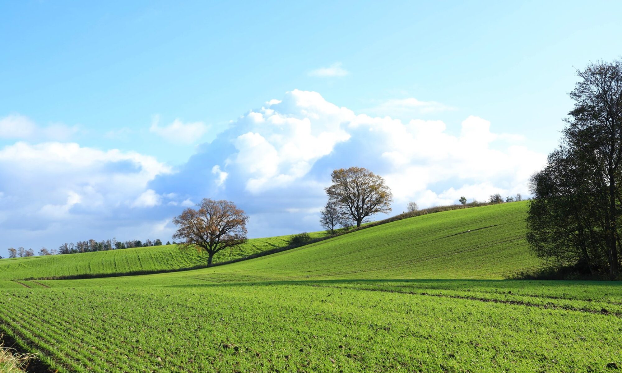 Erhverv på Tuse Næs
